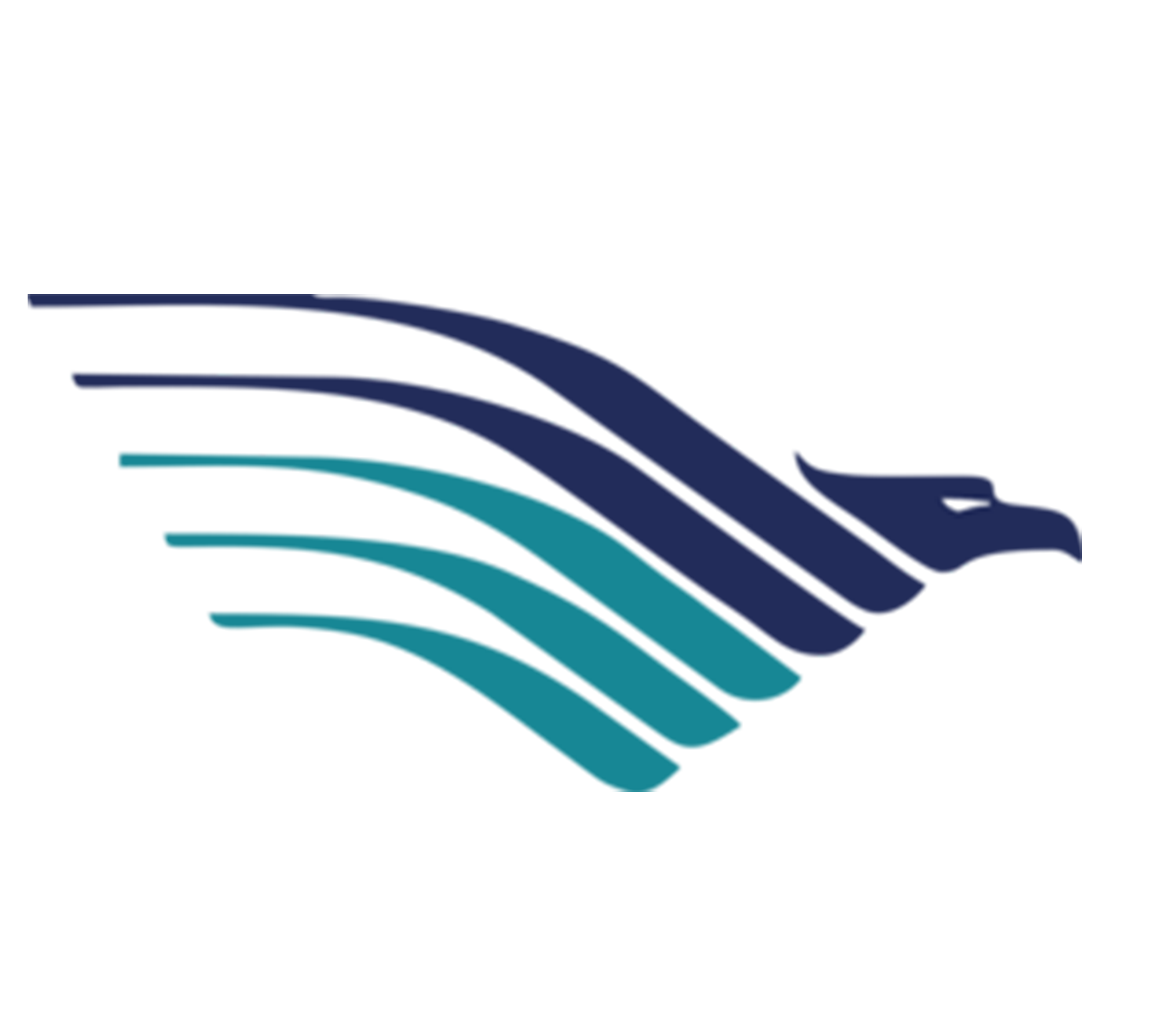 Garuda Indonesia